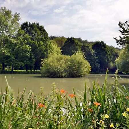 Acacia - Mas Du Ponteil *