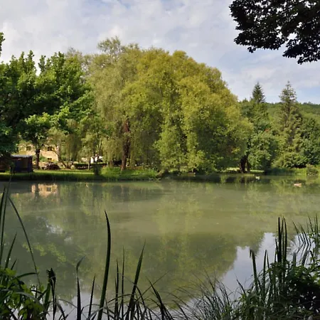 Acacia - Mas Du Ponteil *