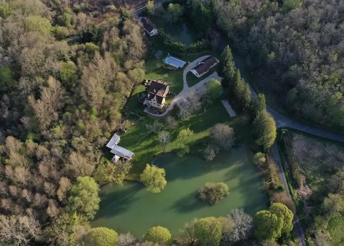 Acacia - Mas Du Ponteil *