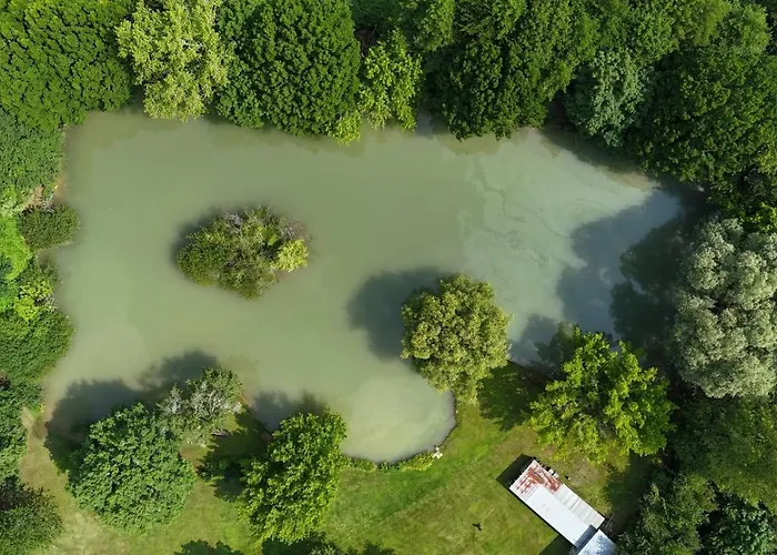 Acacia - Mas Du Ponteil بيت للعطل *