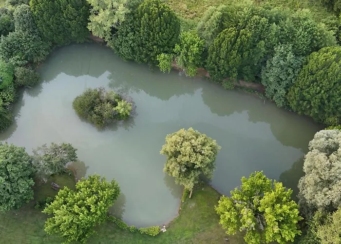 Acacia - Mas Du Ponteil بيت للعطل *