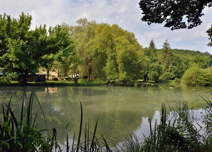 Acacia - Mas Du Ponteil *