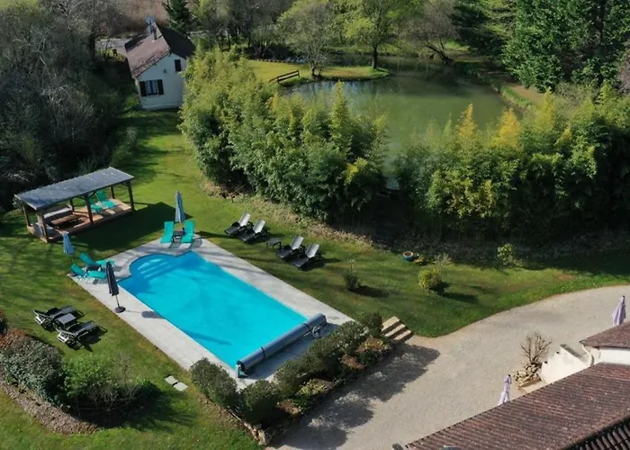 Acacia - Mas Du Ponteil